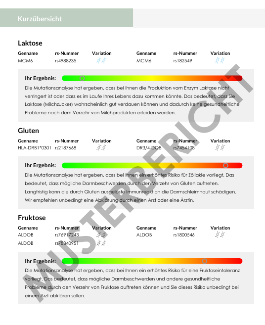 1x 4-fach Testkit für Laktose/Fruktose/Gluten & Histamin Unverträglichkeit | DNA Analyse deiner genetischen Veranlagung